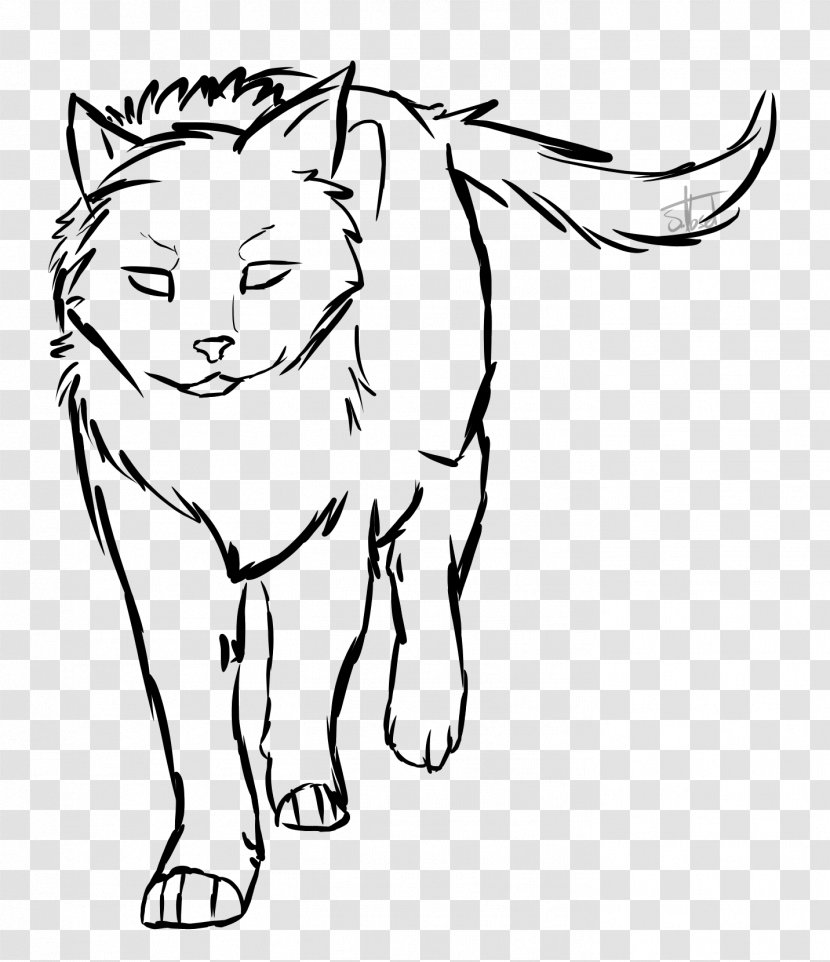 Whiskers Cat Line Art Drawing Clip - Like Mammal Transparent PNG