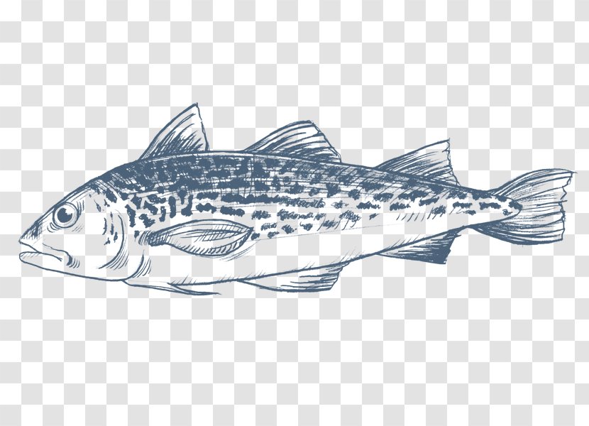 Sardine Salmon Cod Fish Products - Mackerel Transparent PNG