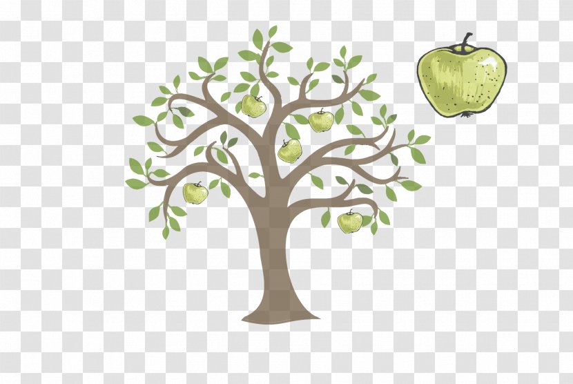 Tree Branch Plant Apple Woody - Pear - Fruit Leaf Transparent PNG