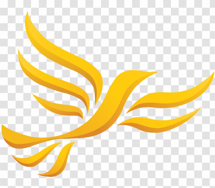 Welsh Liberal Democrats United Kingdom Liberalism Electoral District - Yellow - Phoenix Transparent PNG