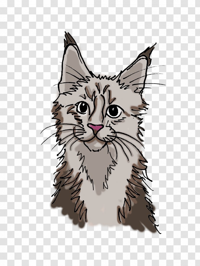 Whiskers Maine Coon Kitten Tabby Cat Domestic Short-haired Transparent PNG