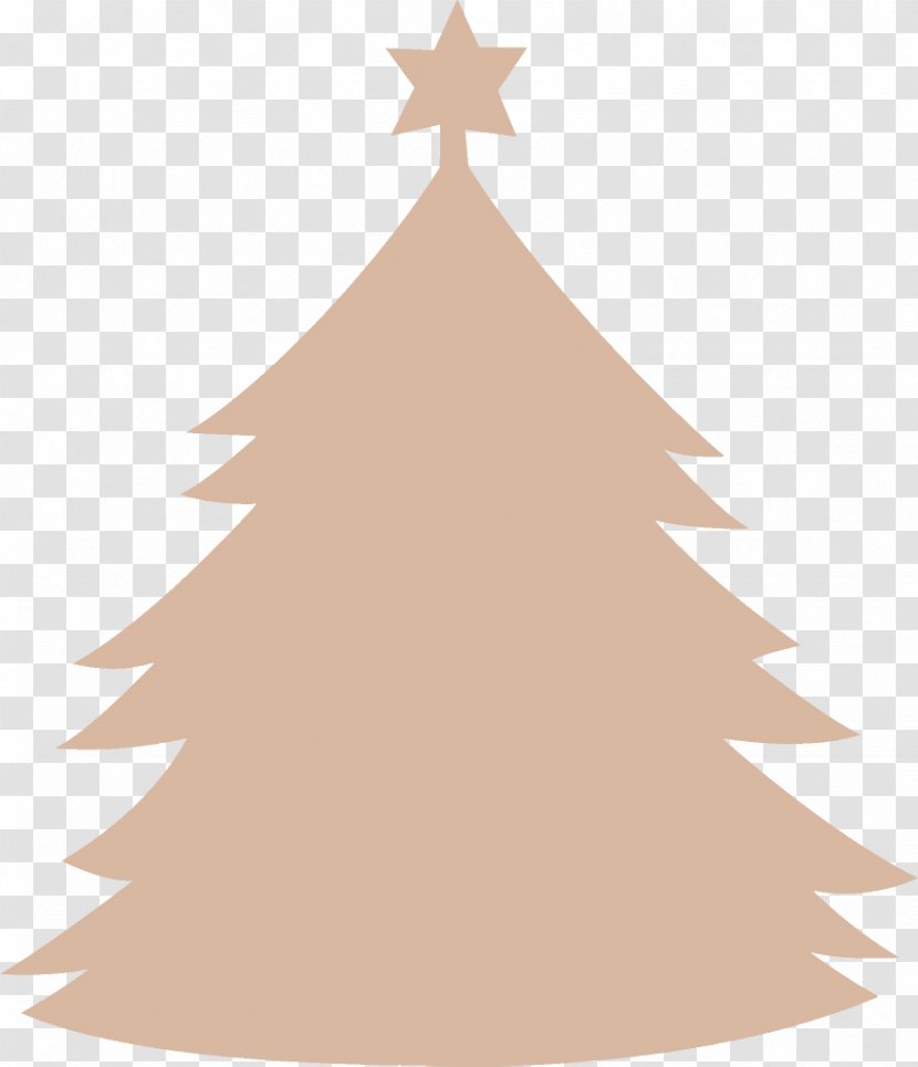 Christmas Tree - Pine - Fir Conifer Transparent PNG
