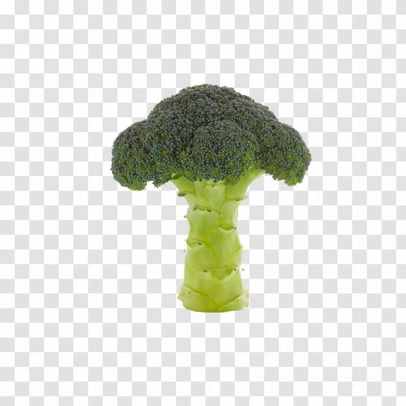 Broccoli Vegetable Cauliflower - Product Design Transparent PNG