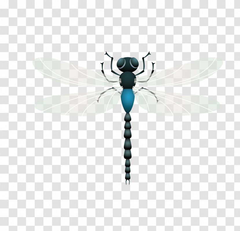 Insect Dragonfly - Organism - Lovely Free Matting Material Transparent PNG
