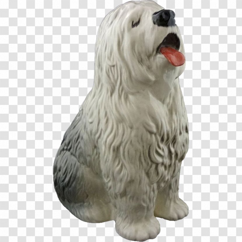 Old English Sheepdog Bearded Collie Tibetan Terrier Havanese Dog Maltese - Whippet Transparent PNG