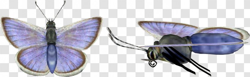 Body Jewellery Insect - Jewelry Making Transparent PNG