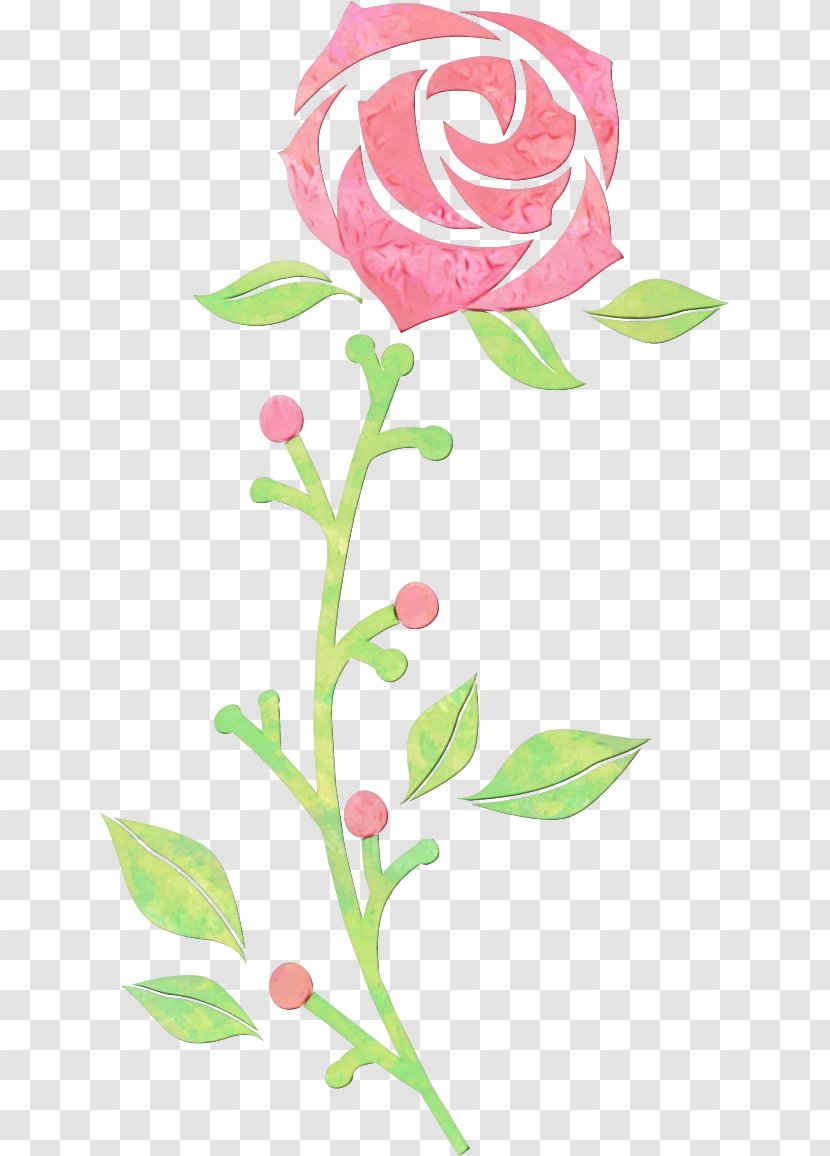 Rose - Pedicel - Flowering Plant Transparent PNG