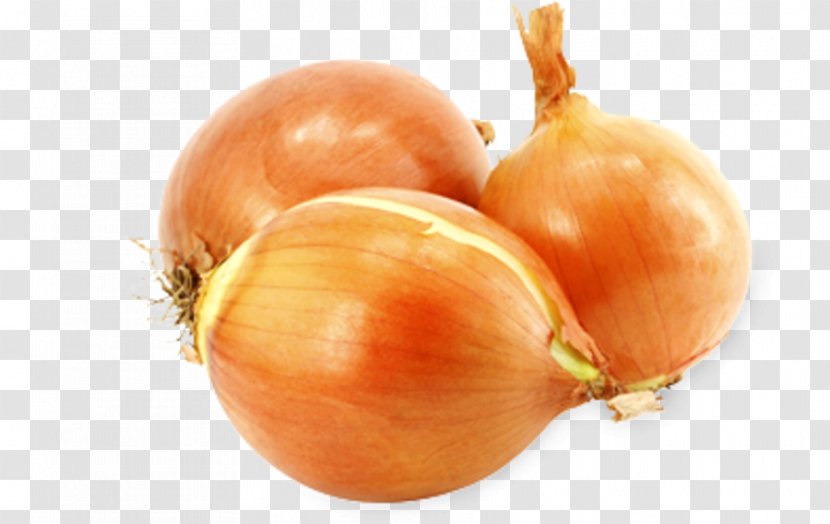 Organic Food Onion Vegetable Fruits Et Légumes - L%c3%a9gumes Transparent PNG