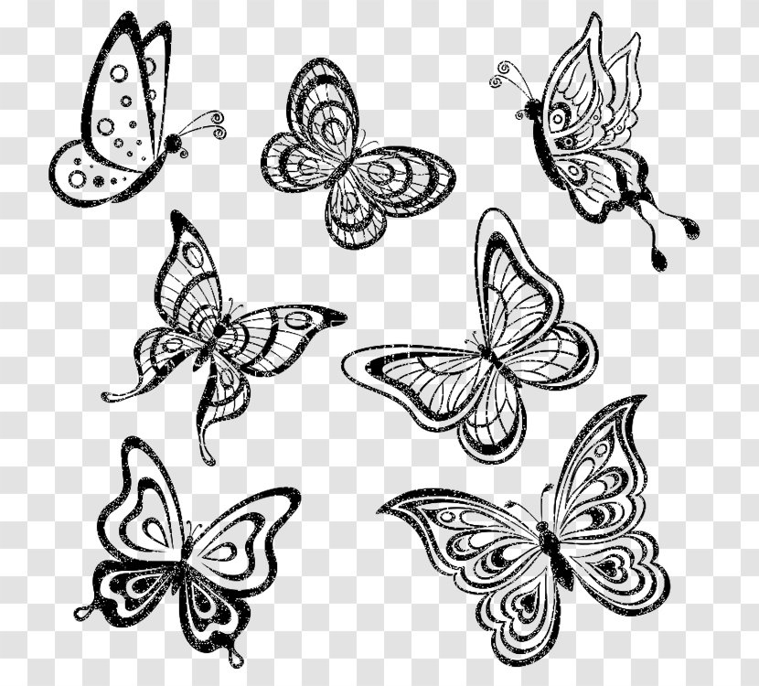 Butterfly Drawing Monochrome Royalty-free - Invertebrate Transparent PNG
