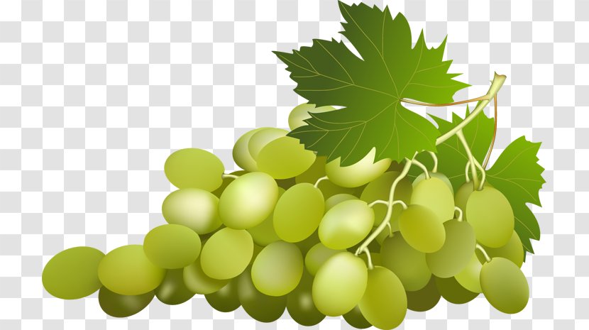 Grape Leaves Wine Clip Art - Plant Transparent PNG