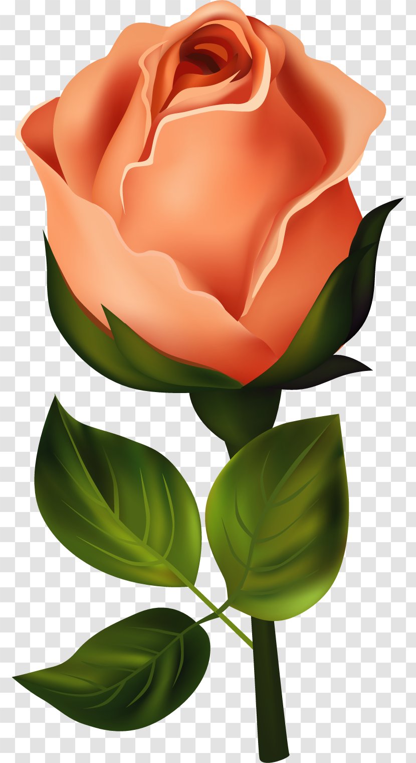 Rose Birth Flower Clip Art - Floral Design - Painted Transparent PNG
