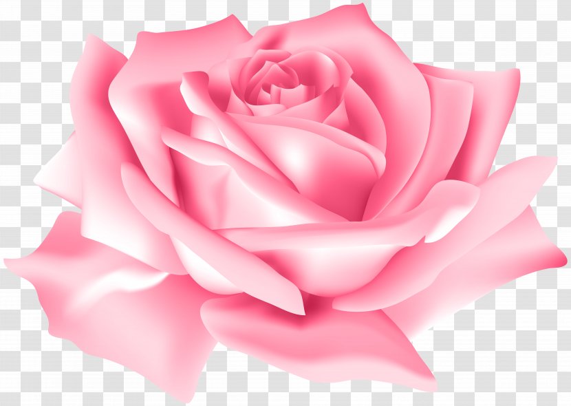 Rose Flower Pink - Flowers - Clip Art Image Transparent PNG