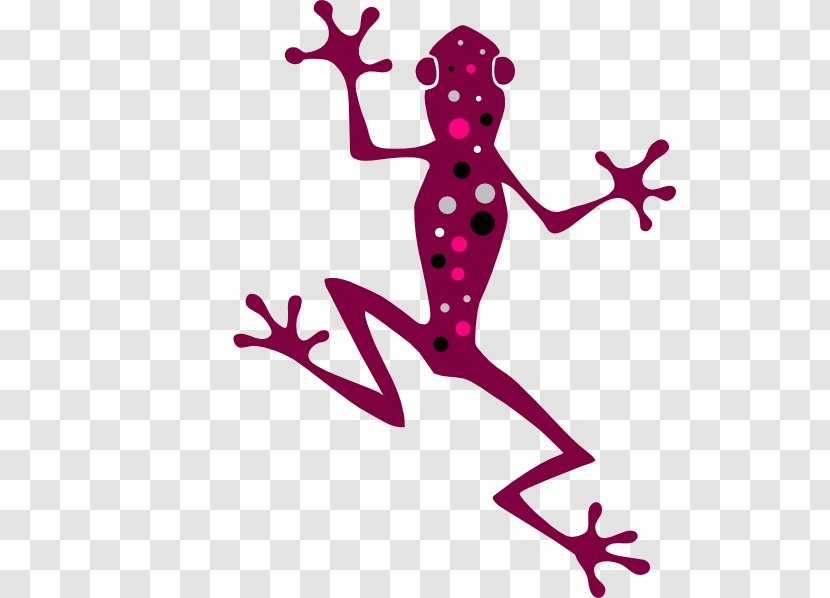 Tree Frog Vector Graphics Clip Art Image - Amphibians Transparent PNG