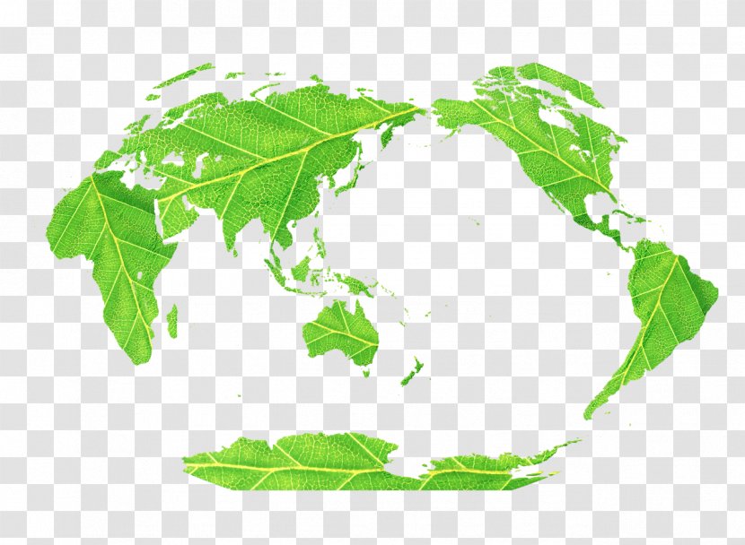 World Map Miller Cylindrical Projection Sustainability - Plan - Natural Environment Transparent PNG