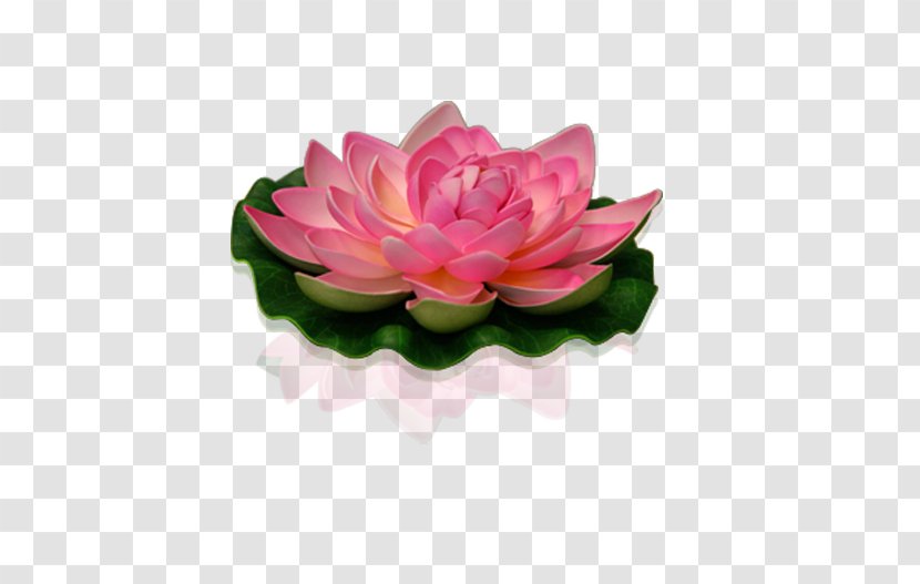Sacred Lotus Artificial Flower Pink Garden Roses Transparent PNG