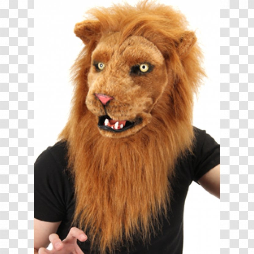 Lion Mask Cat Costume - Animal Transparent PNG