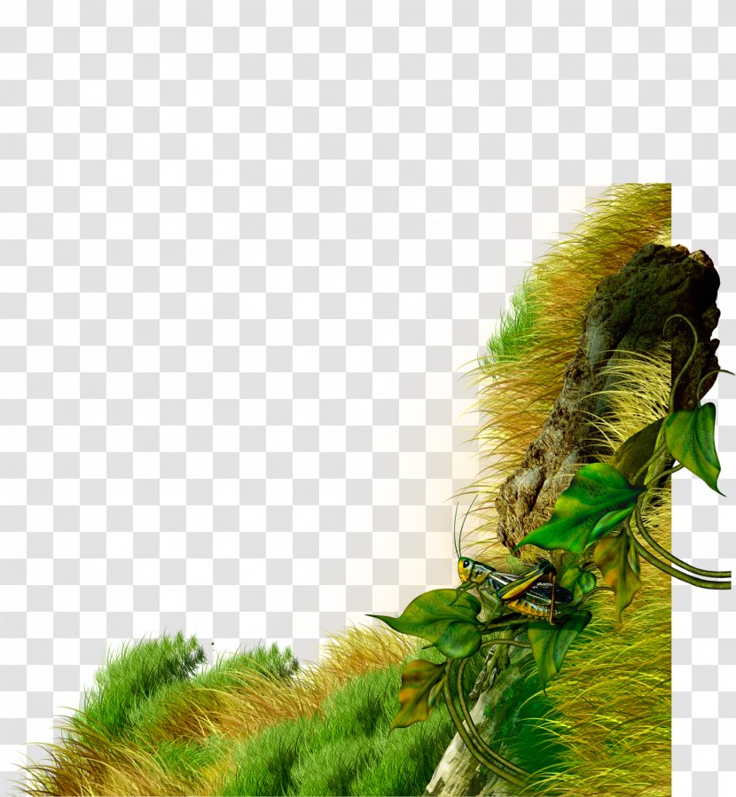 Insect Download - Tree - Insects On The Grass Transparent PNG