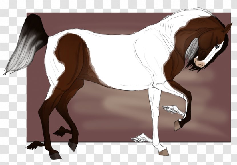 Mane Mustang Stallion Mare Pony Transparent PNG