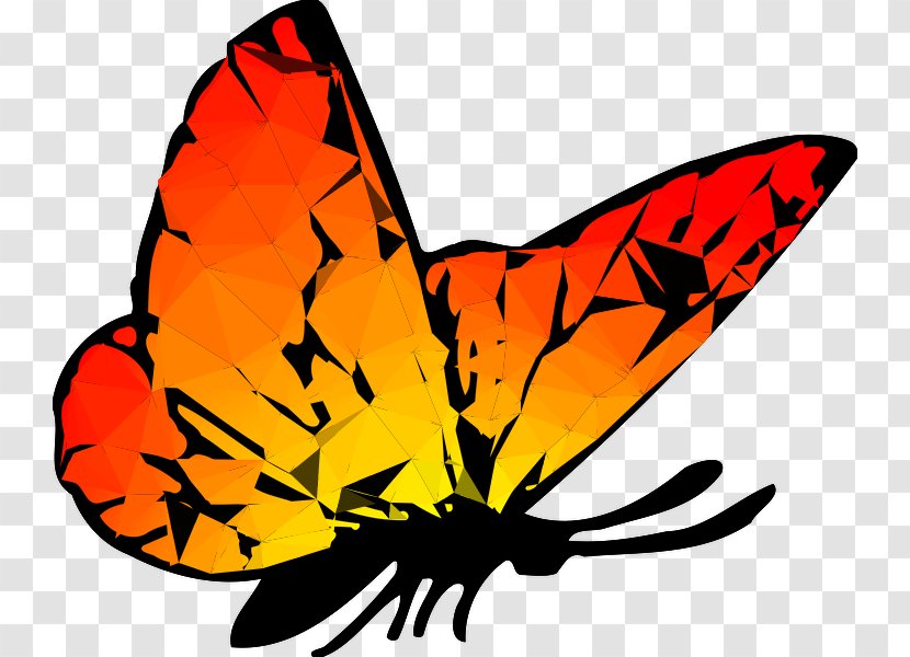 Monarch Butterfly Drawing Clip Art Image - Cynthia Subgenus - Cartoon Transparent PNG