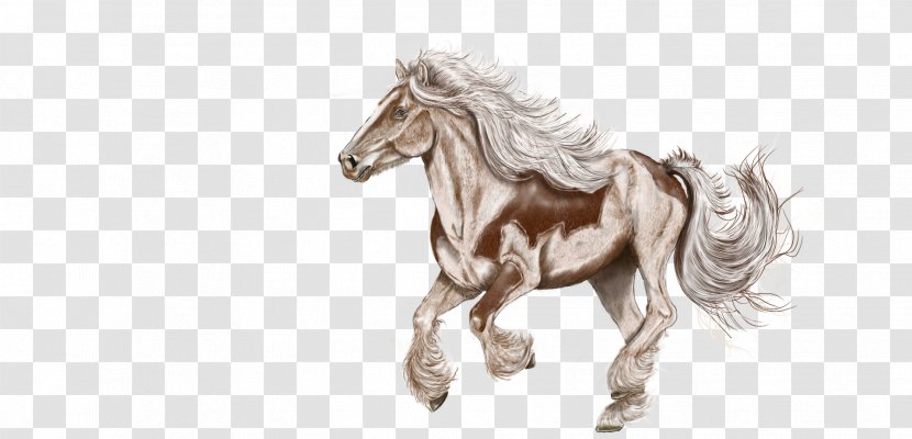 Mustang Shetland Pony American Paint Horse Stallion - Wild - Watercolor Transparent PNG