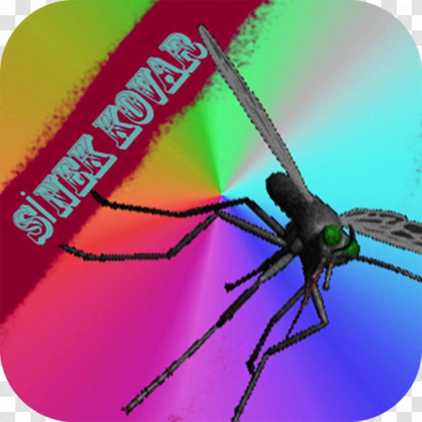 Mosquito App Store IPod Touch Apple Insect - Wing Transparent PNG