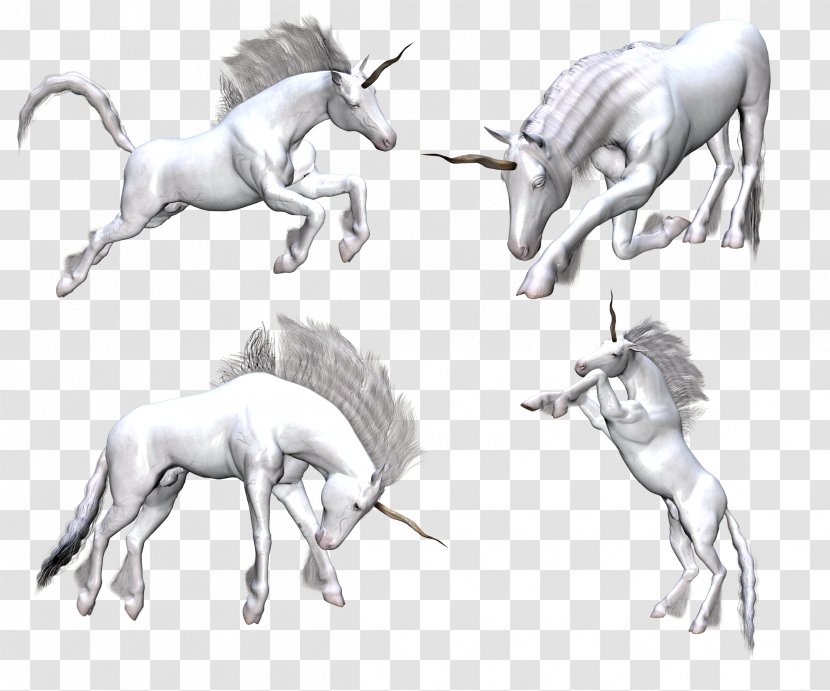 Unicorn Fantasy Legendary Creature Horse - Artwork - Unicorns Transparent PNG