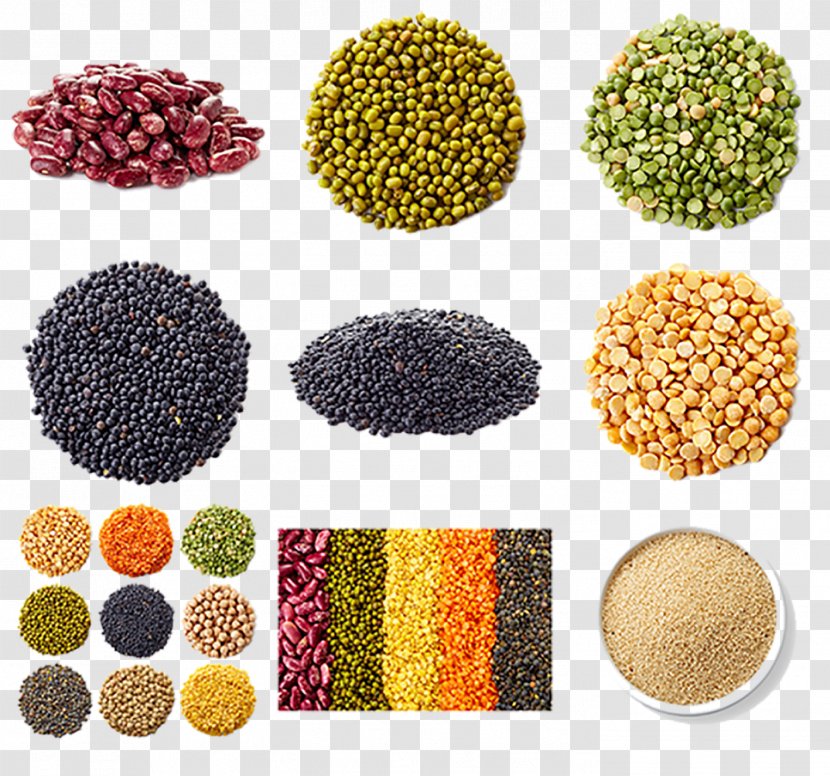 Cereal Mung Bean Soybean Five Grains - Nutrition - Cereals Transparent PNG