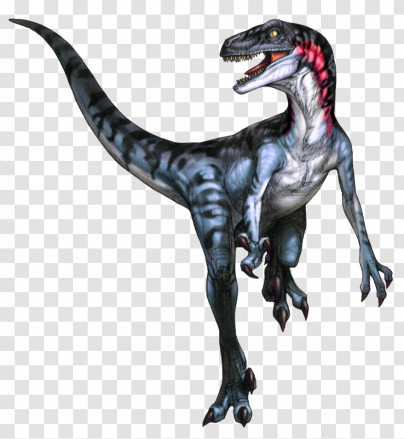 Velociraptor Utahraptor Tyrannosaurus Dinosaur Theropods - Cartoon Transparent PNG