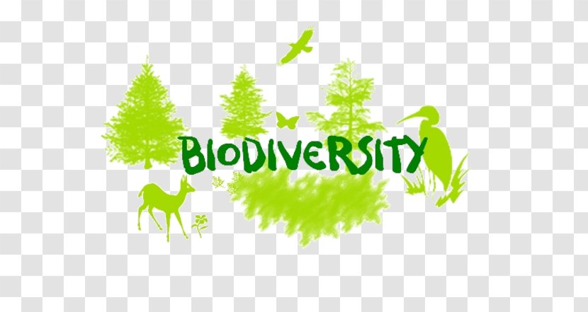 Biodiversity Loss Natural Environment Convention On Biological Diversity Science - Green Transparent PNG