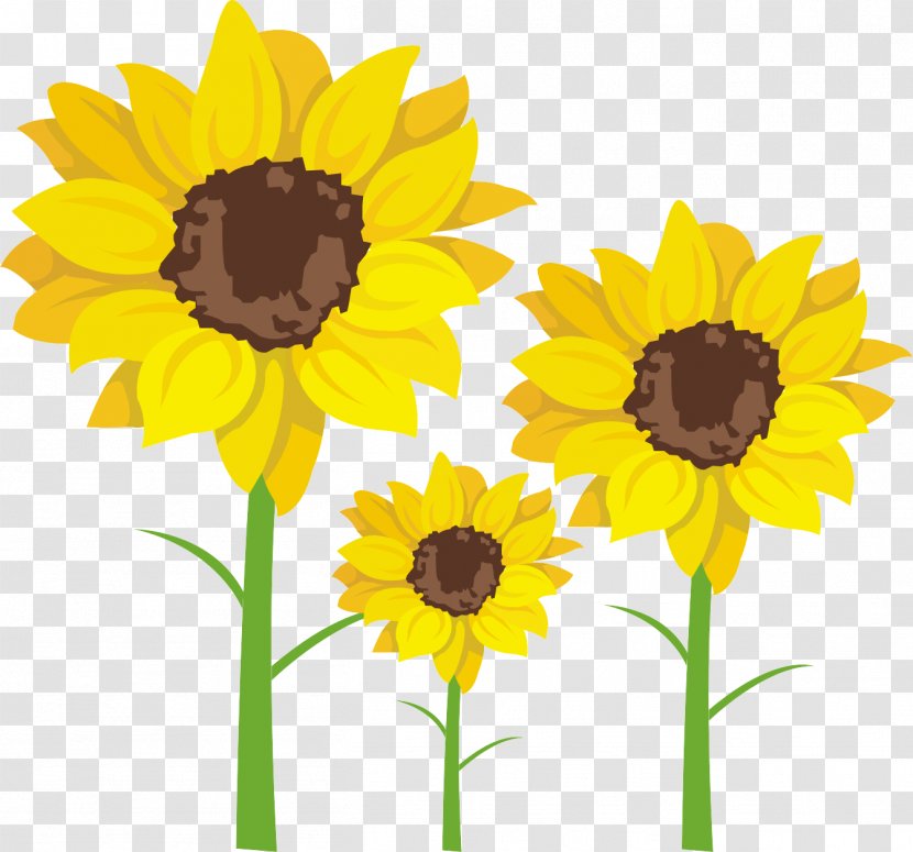 Common Sunflower Seed Clip Art - Flower Transparent PNG
