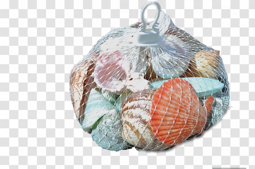 Seashell Plastic Mesh Net Hanger Bag - Beach - White Transparent PNG