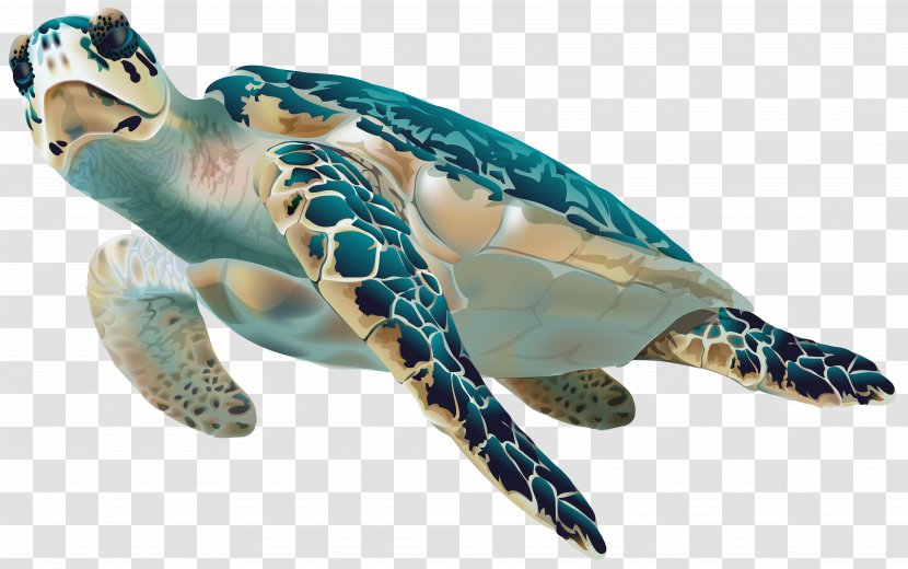 Sea Turtle Clip Art - Loggerhead - Transparent Image Transparent PNG