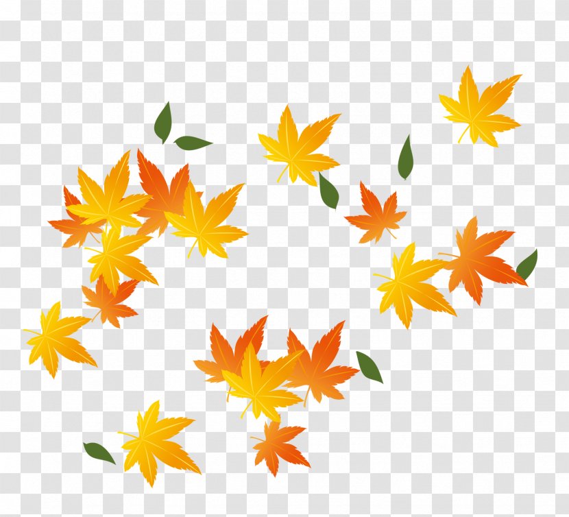 Red Maple Leaf - Autumn Leaves Transparent PNG