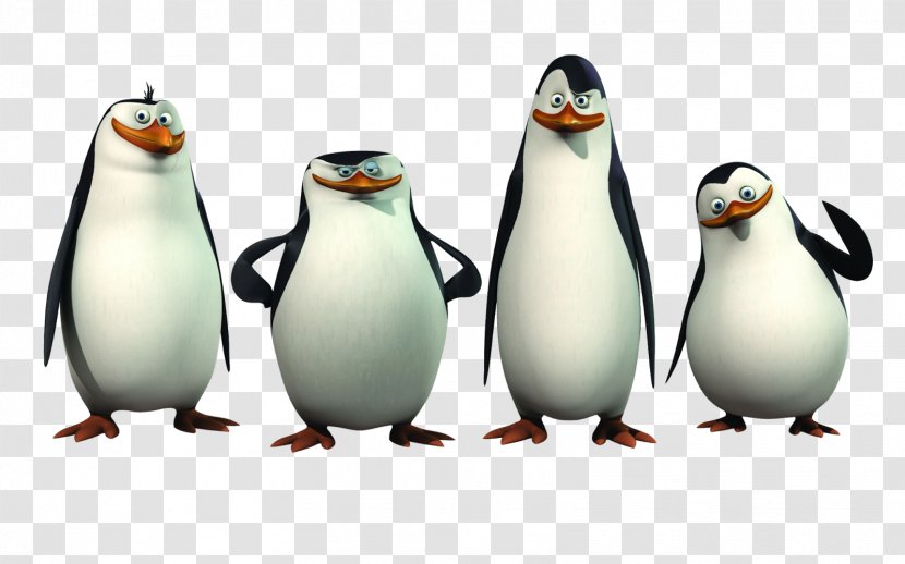 Madagascar Charming Villain Film DreamWorks Animation - Penguins Transparent PNG