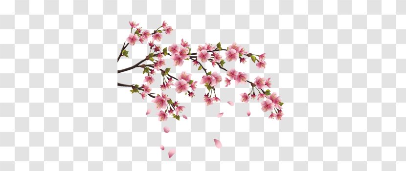 Cherry Blossom Wall Decal Branch - Twig Transparent PNG