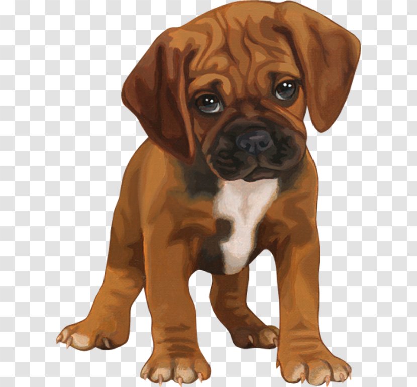 Puppy Clip Art Image GIF - Boxer Transparent PNG
