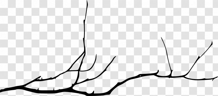 Branch Tree Twig Clip Art - Frame - Dead Transparent PNG