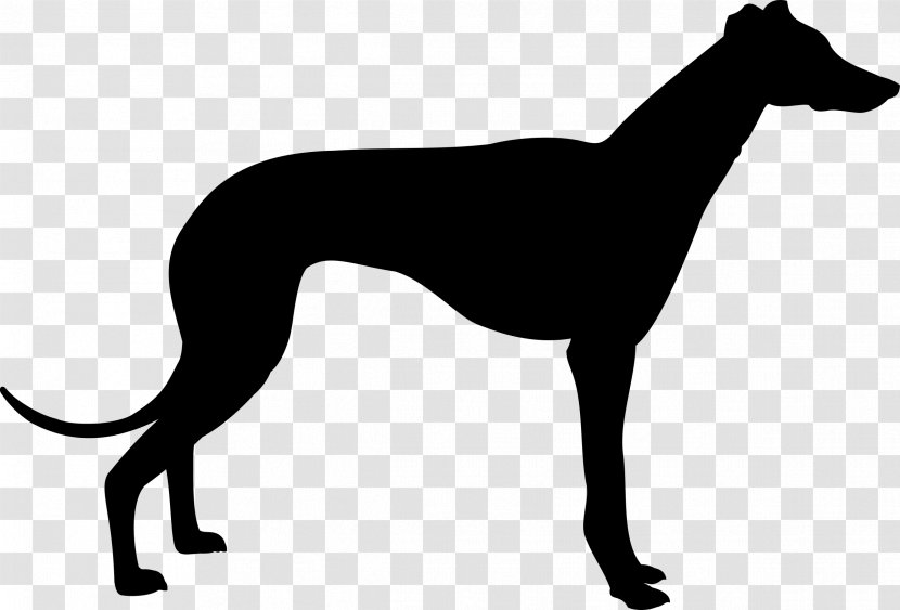 Greyhound Silhouette Clip Art - Dog - Animal Silhouettes Transparent PNG