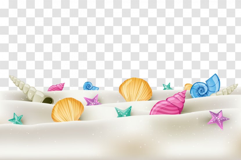 Quran Seashell Download Euclidean Vector - Shlomo Carlebach - Beach Seashells Transparent PNG