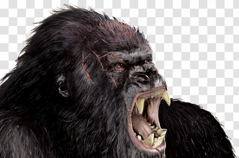 Hollywood King Kong Godzilla Rodan Film - Chimpanzee - Gorilla Transparent Image Transparent PNG