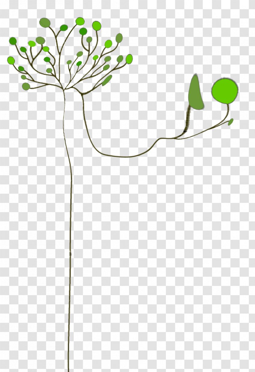 Email The Daily Clip Art Leaf Plant Stem - Green - Img_tree. Transparent PNG