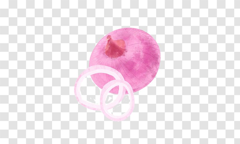 Onion Ring Vegetable Red - Pungency - Hand Painting Material Picture Transparent PNG