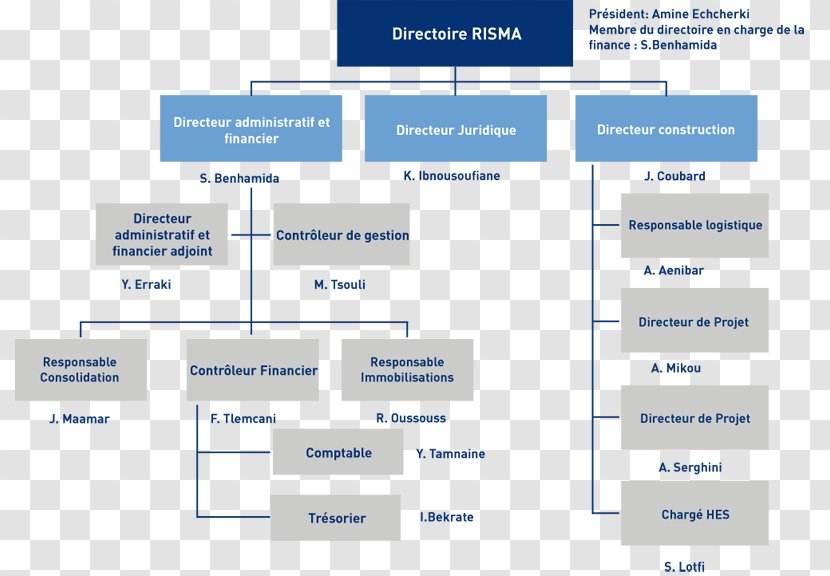 Organizational Chart Supervisory Board Vorstand Shareholder - Software - Casablanca Transparent PNG