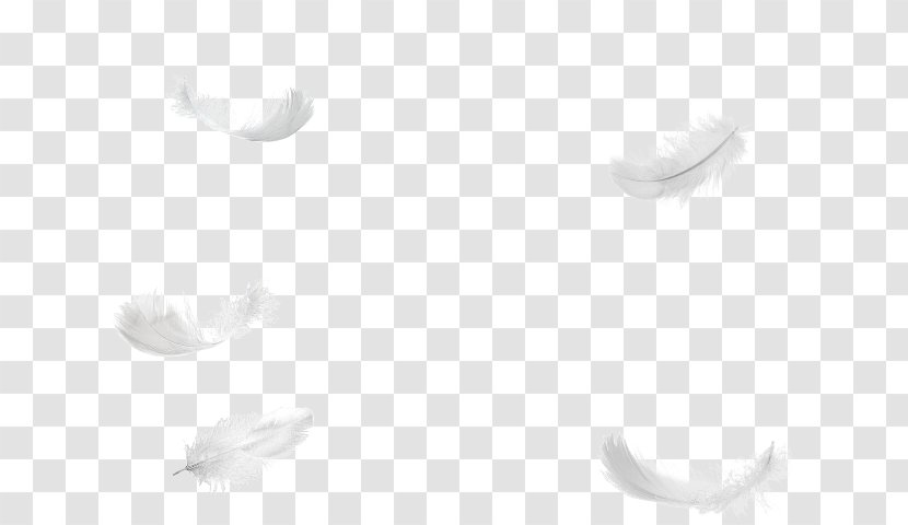 Feather Light White Tree - Jaw Transparent PNG