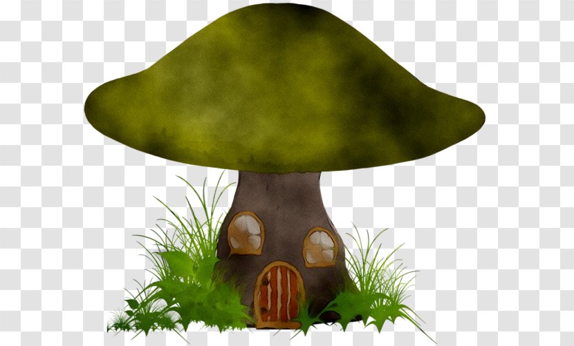 Mushroom - Nonvascular Land Plant - Bolete Transparent PNG