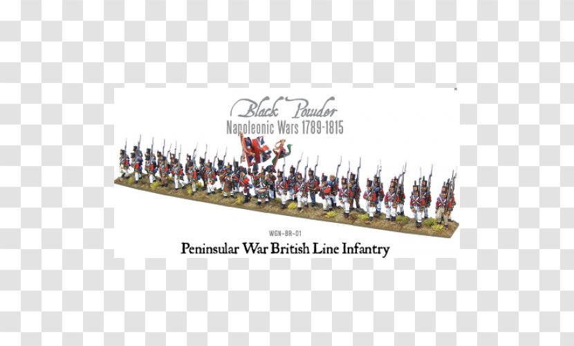 Line Infantry Peninsular War Napoleonic Wars Regiment Transparent PNG