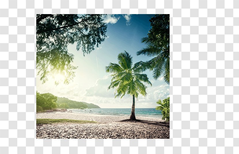 Anse Lazio Mahé, Seychelles Beach Stock Photography - Nature - 14th February Transparent PNG