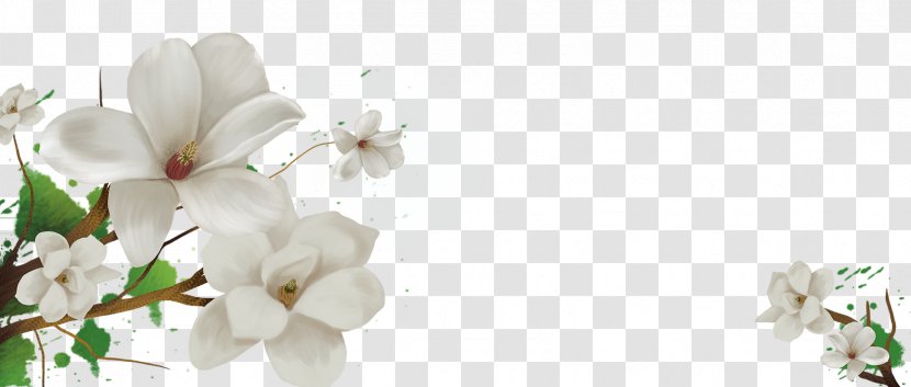 Cape Jasmine Flower Floral Design - White - Background Transparent PNG