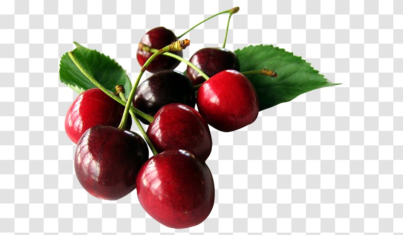 Cherry Pie Sour Plum Cherries - Cranberry Transparent PNG