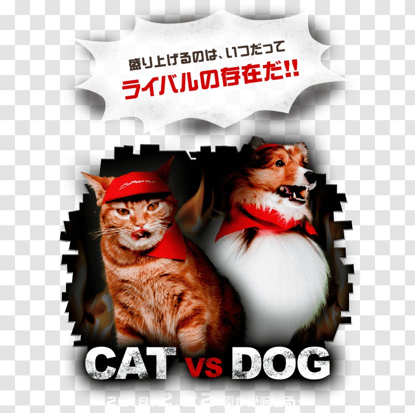 Cat Pizza Hut Japan Ltd. PR TIMES Transparent PNG